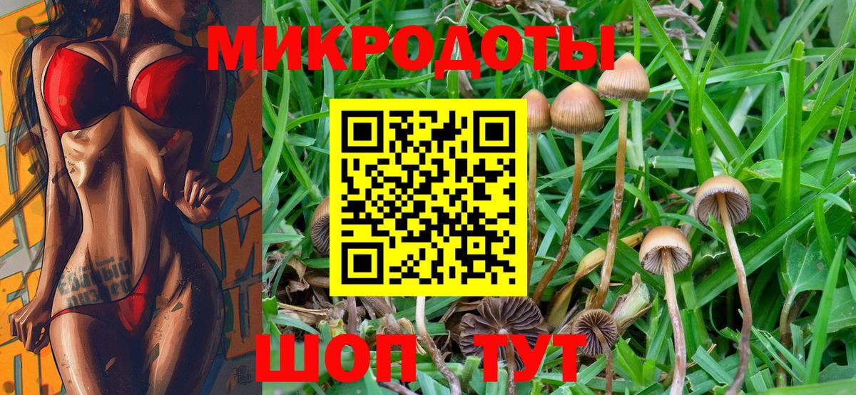 Великий Устюг  Псилоцибиновые грибы ЛСД  магазин продажи   Псилоцибиновые грибы MAGIC MUSHROOMS  Вход с VPN 